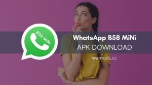 WhatsApp B58 MiNi