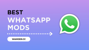 Best WhatsApp Mods